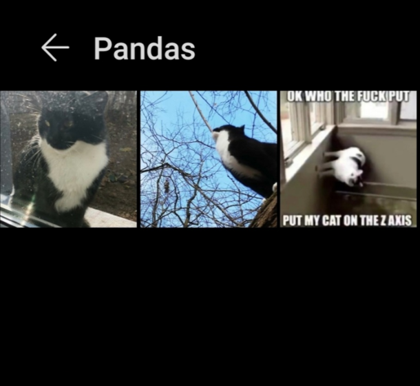 Ok so my phone got that image sorting algorithm