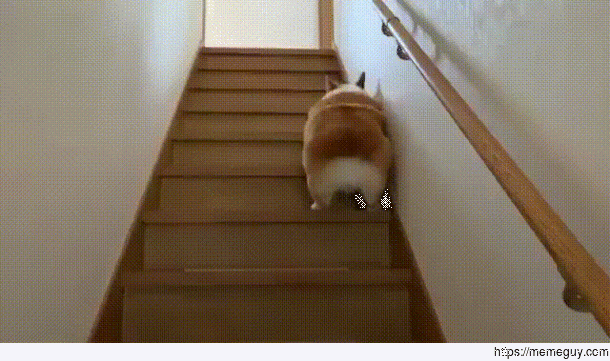 Okay bounce bounce bounce bounce