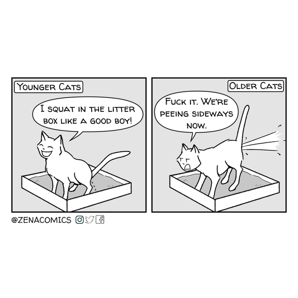 Old Cat Energy 