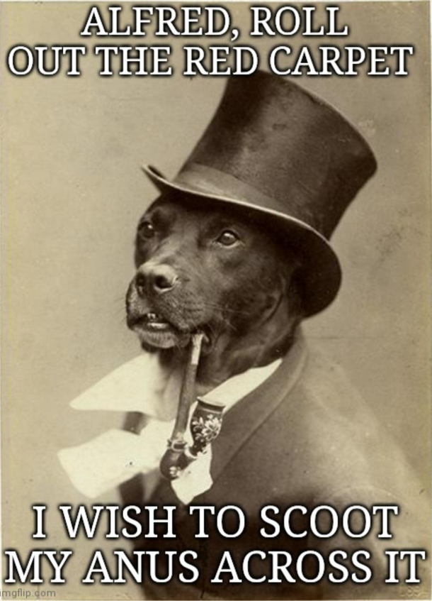 Old money good boy