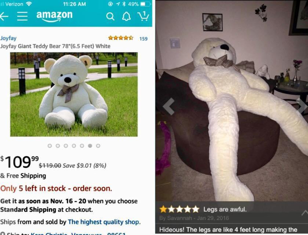 Oldie but Goodie The bear that hangs around all day smoking weed who eats all your food and pays no rent