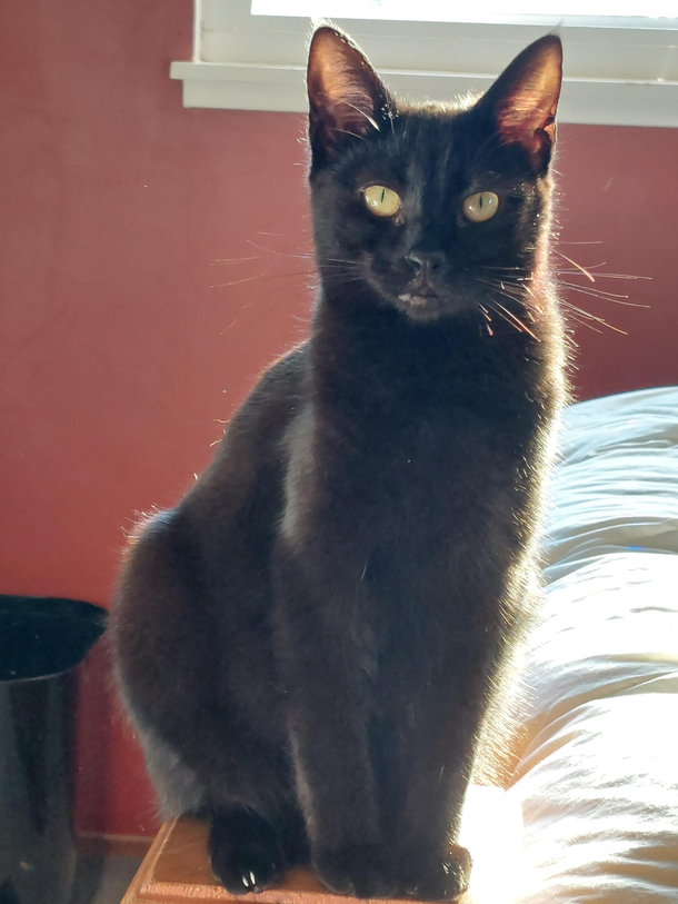 Olympian disapproval