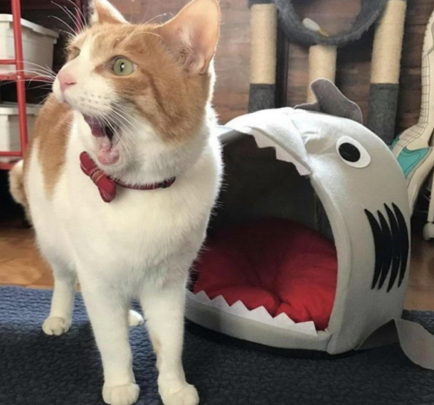 OMG IS IT BEHIND ME