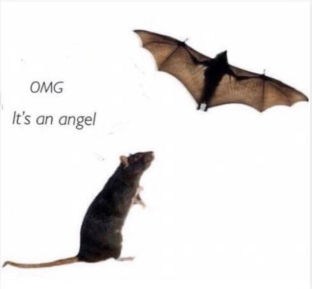Omg its Halloween