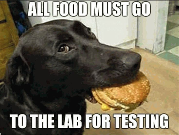 OMG Love the Pun