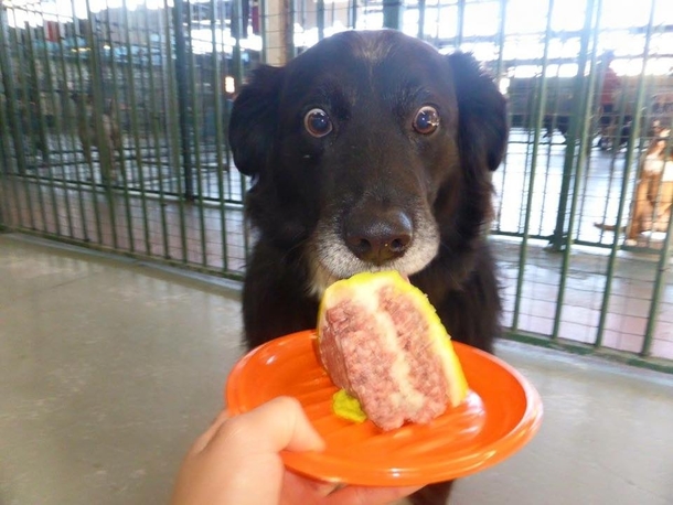 Omg the cake is not a lie