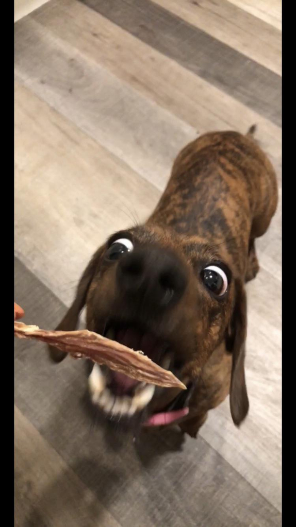 Omg treats
