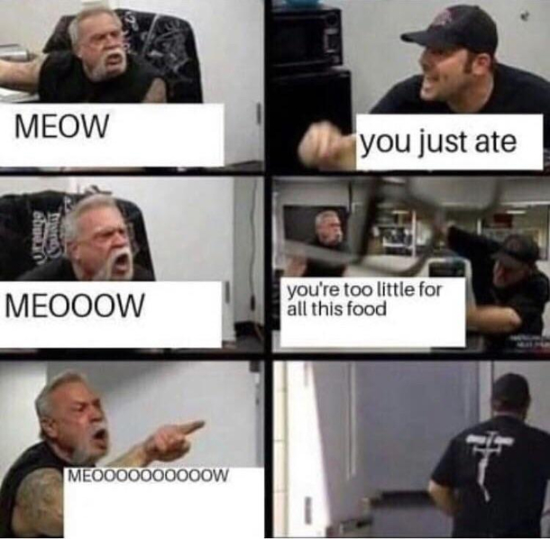 On the daily