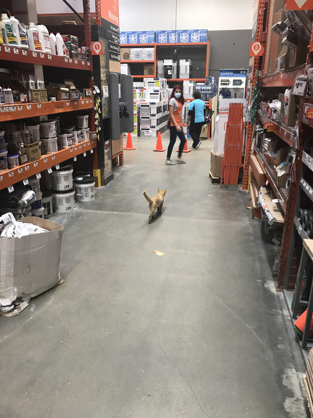 On the mousetrap  birdhouse aisle of Home Depot