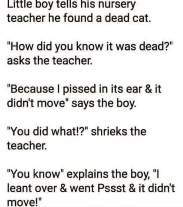 On todays episode of Kids Say the Darndest Things