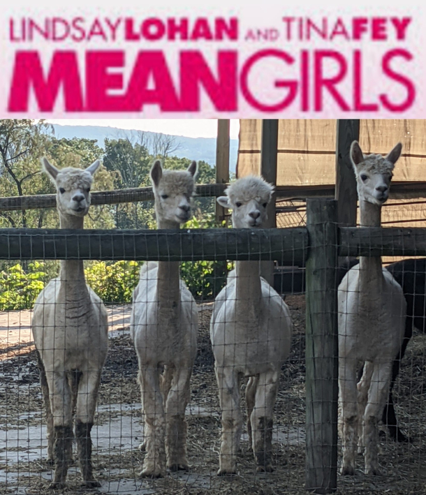 On Wednesdays We Wear Pink