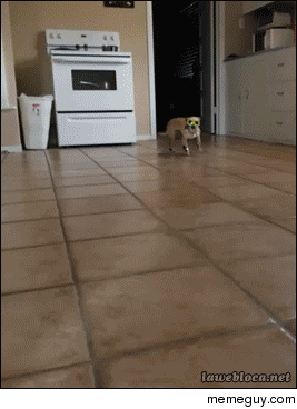 One bad ass motherfucker