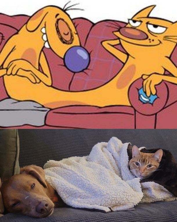 One fine day with a woof and a purr