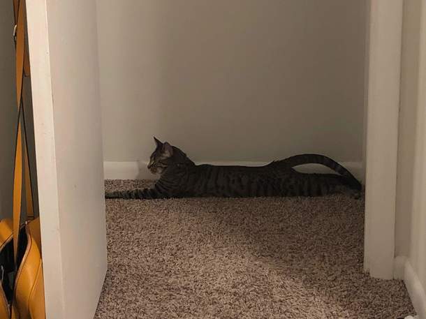One long boi