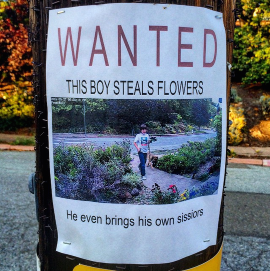 One-man crime spree