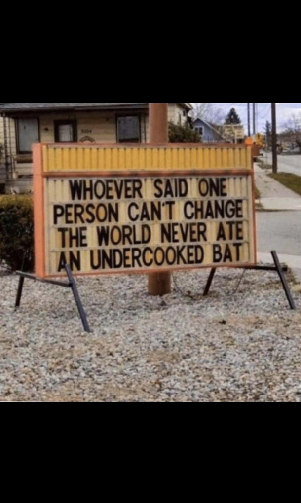 One man one bat one extremely infectious disease