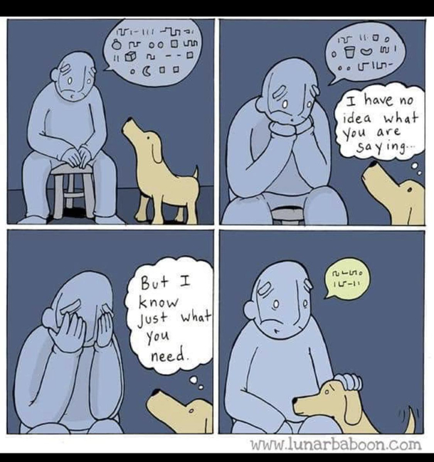One more reason to get a dog