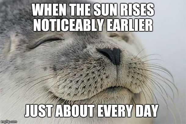 One of my favorite aspects of winter
