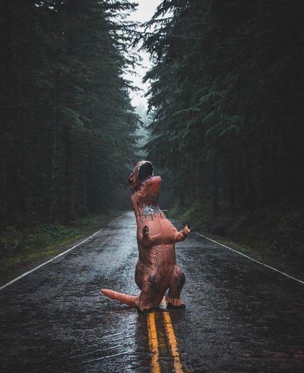 One of my friends went on a road trip and sent me this