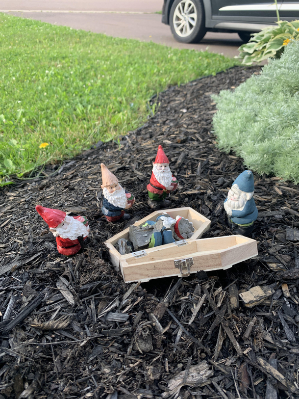 One of my garden gnomes sadly passed away this year So with the help of my crafty neighbour we are holding a funeral service in his honour for the rest of summer