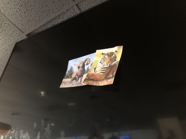 One of my restaurants TVs died just in time for the game Fixed it