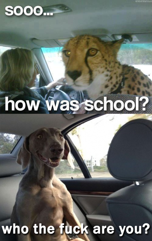 One of the first posts I favorited