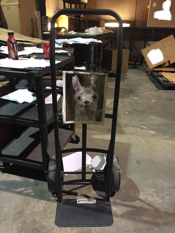 One of the warehouse guys where I work enlightened his dolly D