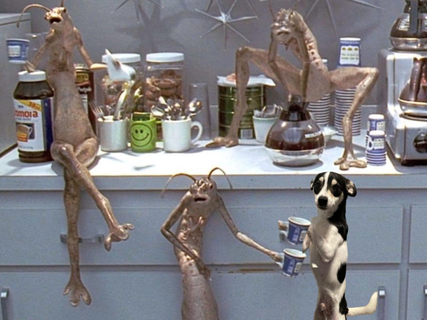 One of these things is not like the others Hint its my dog