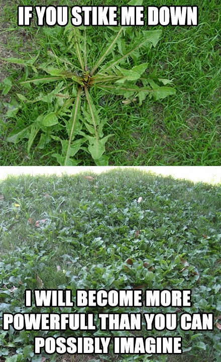 One thing Ive noticed from first time home ownership