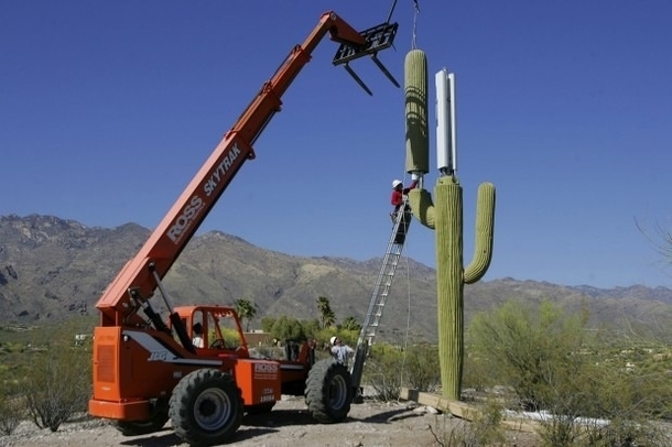 One way to hide a cell phone tower