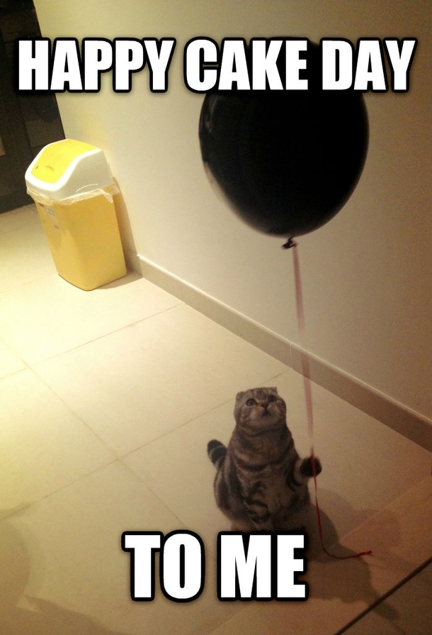 One year later and nothing has changed