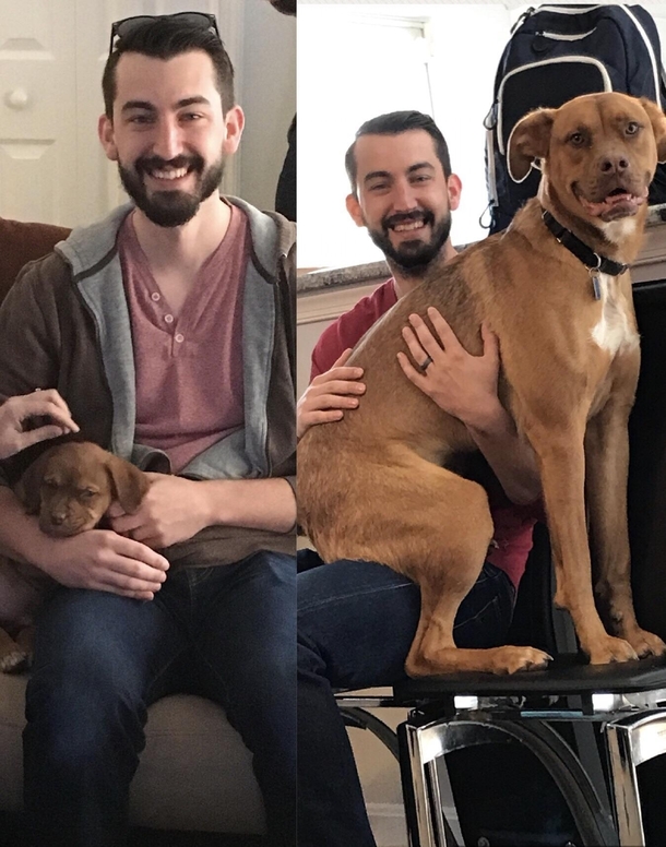 One year makes a BIG difference Still a lapdog