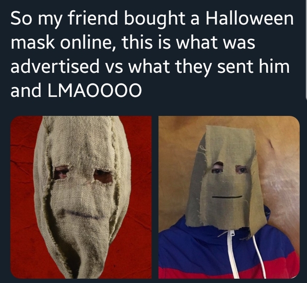 Online Halloween stores never fail to make my day