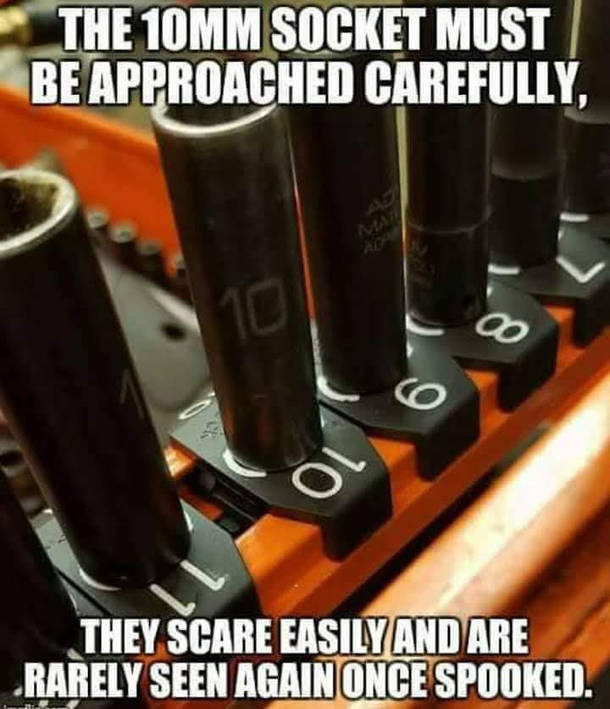ONLY HANDS ON PEOPLE WILL KNOW