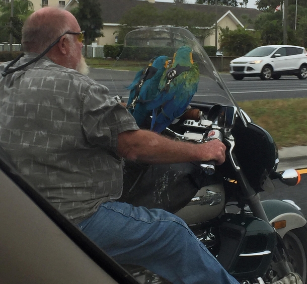 Only in Florida