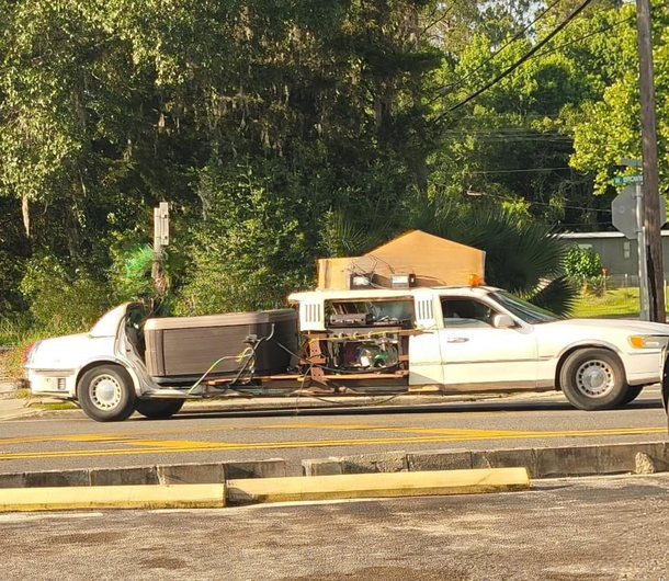Only in Florida - The more you lookThe more you see