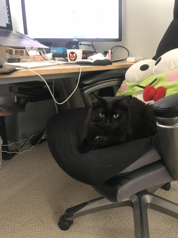Only left my desk for a second and my coworker already took my spot 