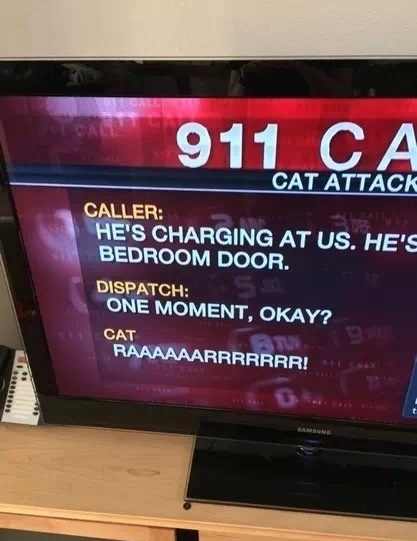 Only on local news
