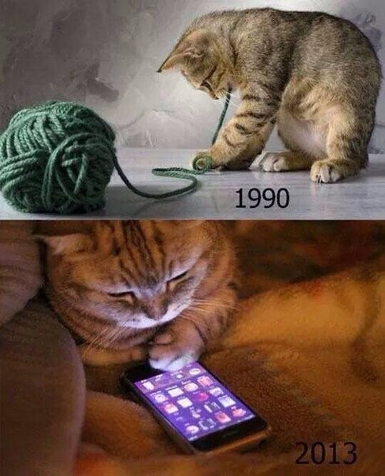 Only s cats will understand