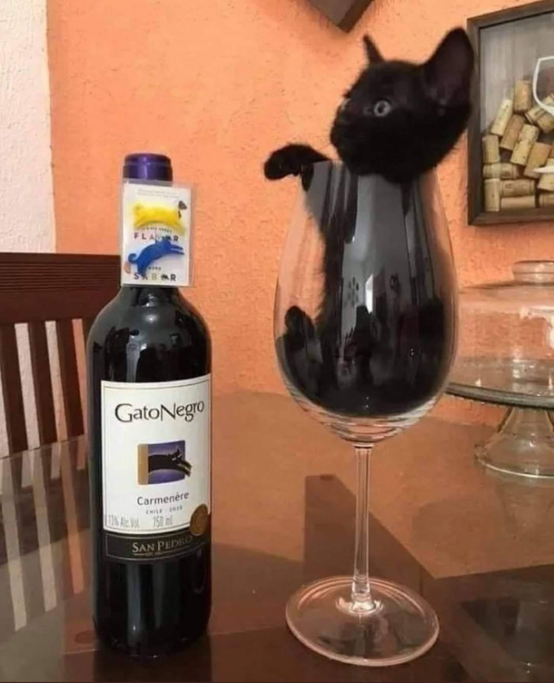 Only the finest of wines