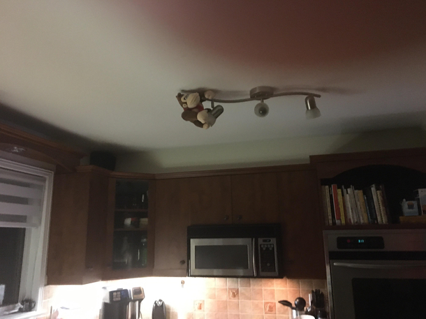 Onze my brothers friends gave my dad a donky kong plushie as a gag gift Now my father is hiding it in various places in the house