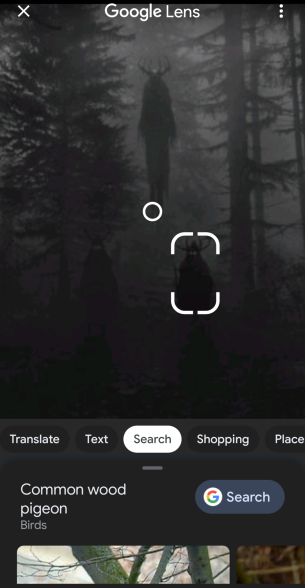Oookay Google thanks I guess