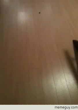 Oooohh piece of candy