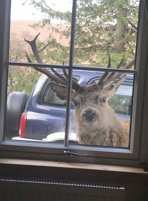 Open up I know what you did to my fucking brother