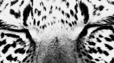Open your eyes