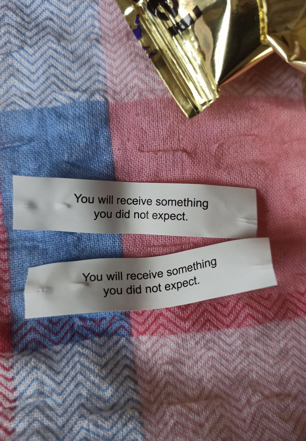 Opened  cookies to see if it would change Needless to say I didnt not expect that