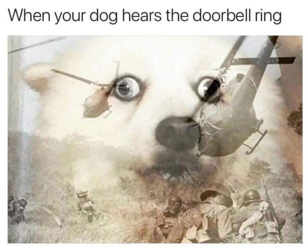 OPERATION BORK