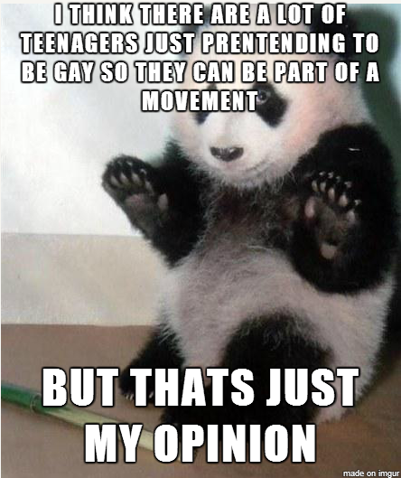 Opinion Bear on gay teenagers