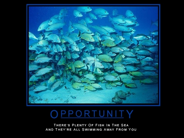 Opportunity  