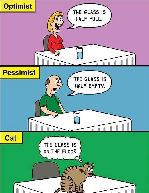 Optimist pessimist and the